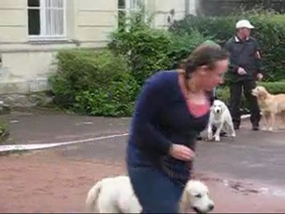 NE   Roiffé  11-9-11 toutes les pupy femelles