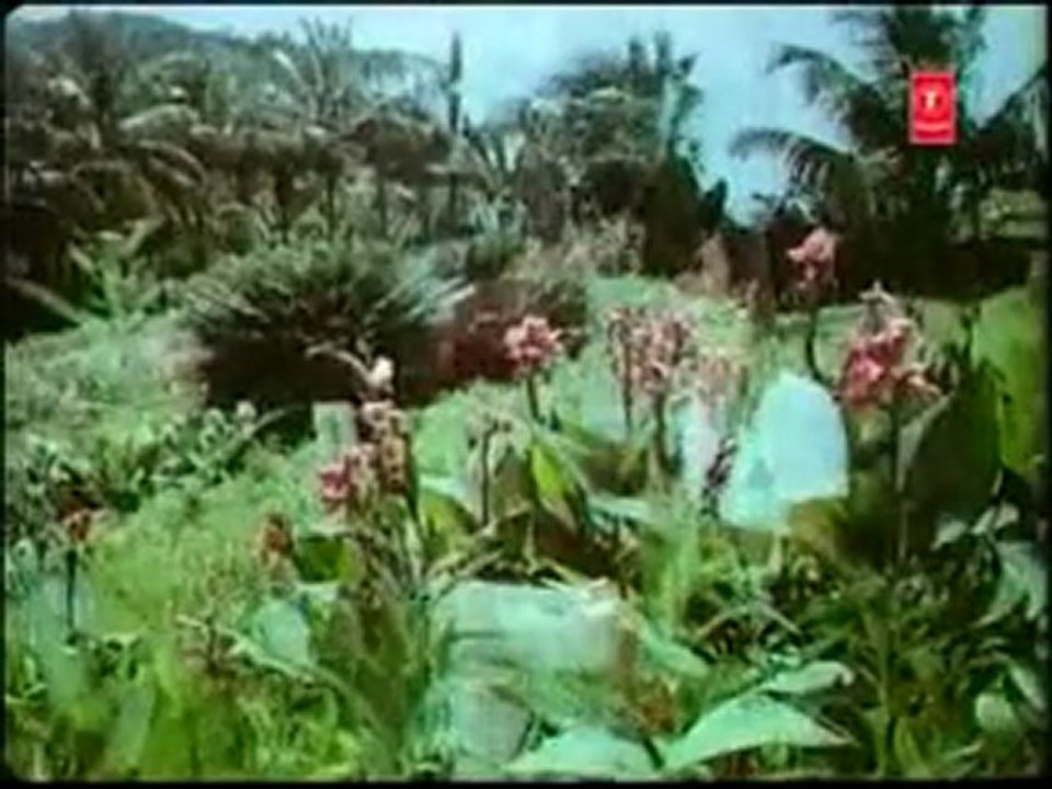 nishaan - part 4