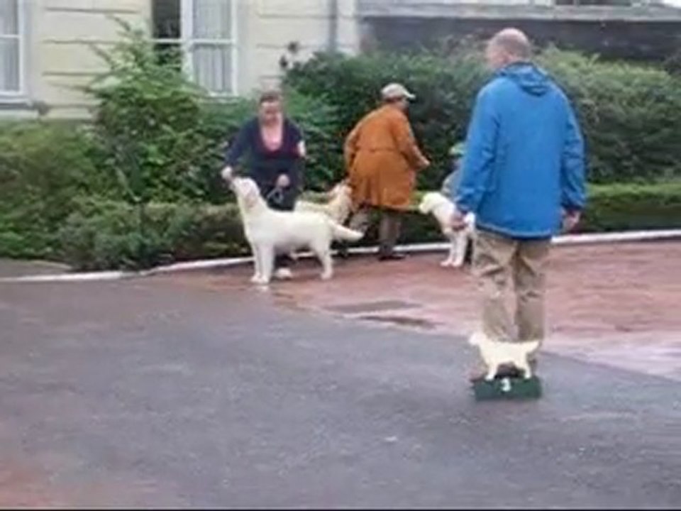 NE Roiffé 5 finalistes Pupy femelle