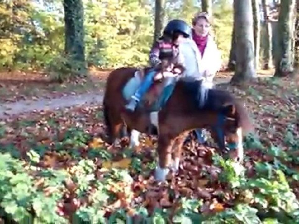 Première promenade à cheval
