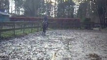Vandato_4 weken onder het zadel @ lekker blubberen