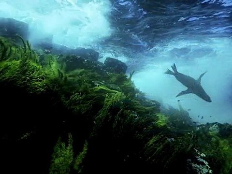 Through the Eyes of a Critic: Photographing Galápagos