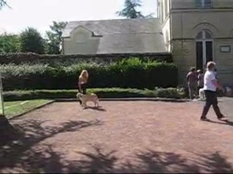 Guiness (Gawahra)Centenaire à Roiffé (2)