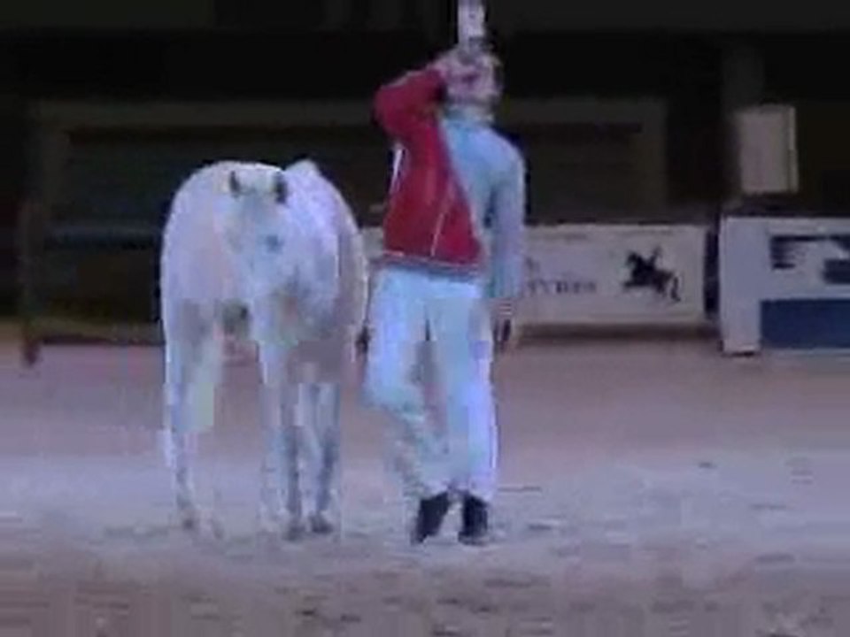 petit spectacle équestre drole hihi !!!
