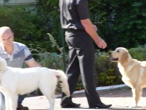 Centenaire Roiffé 10-9-11 Gaia Guidelle