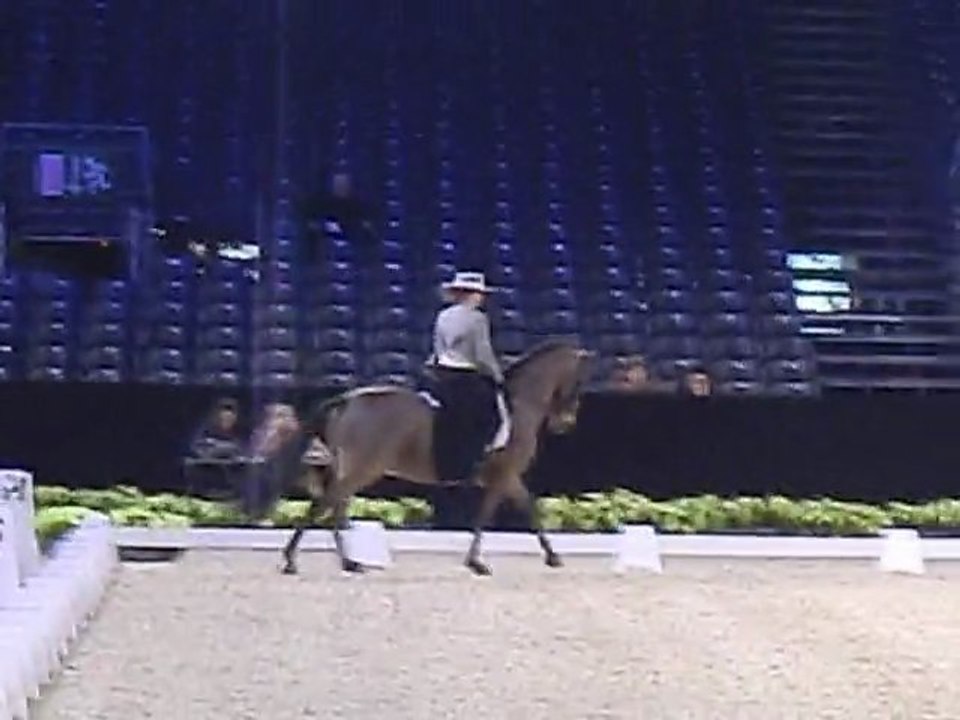 concours de dressage espagnol !!!