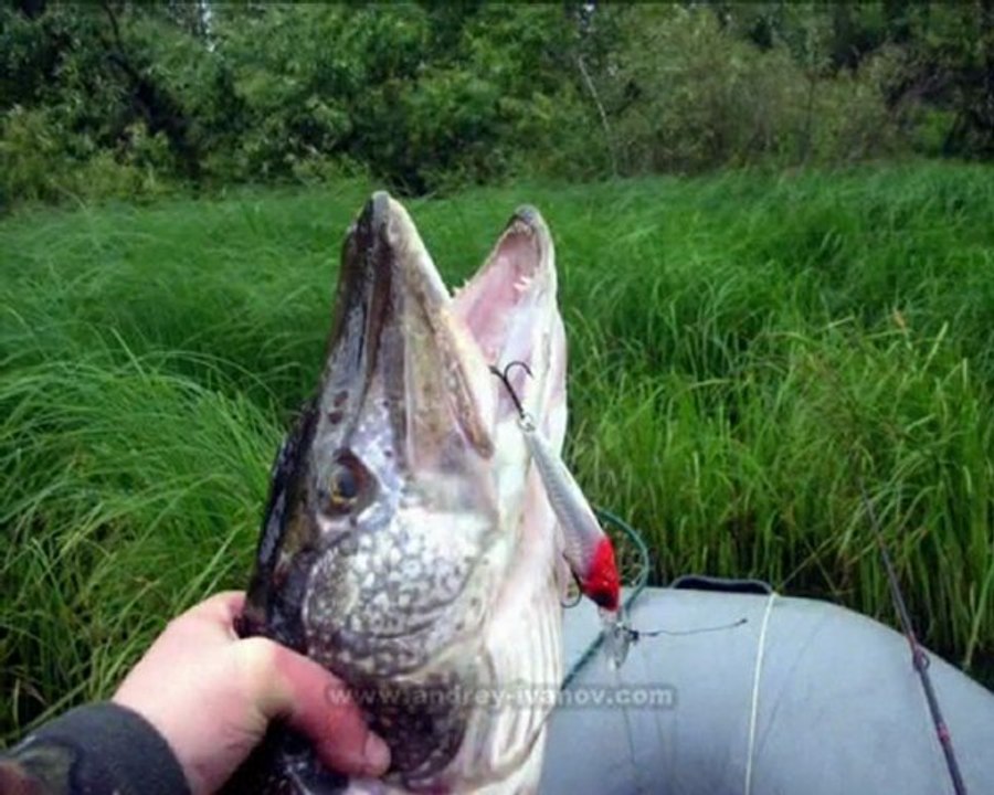 Андрей Иванов. Рыбалка.