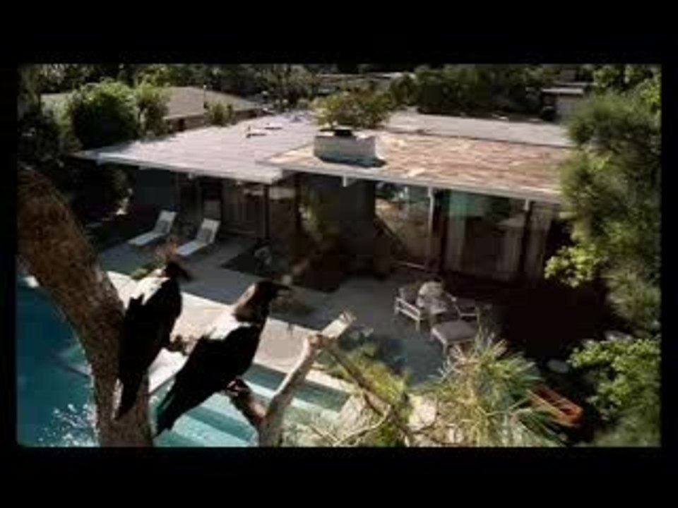 pub-windex-oiseau[1]