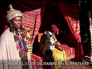 El acontecimiento de esta Navidad - Bioparc Valencia