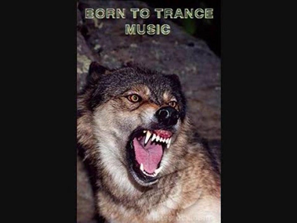 HARDDANCE - ROCK THE HOUSE