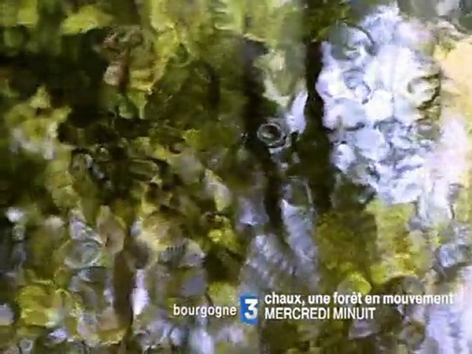 Chaux, une forêt en mouvement