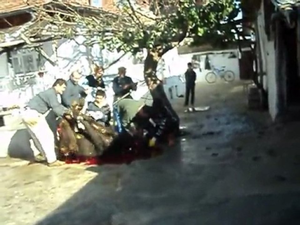 KURBAN KESİMİ