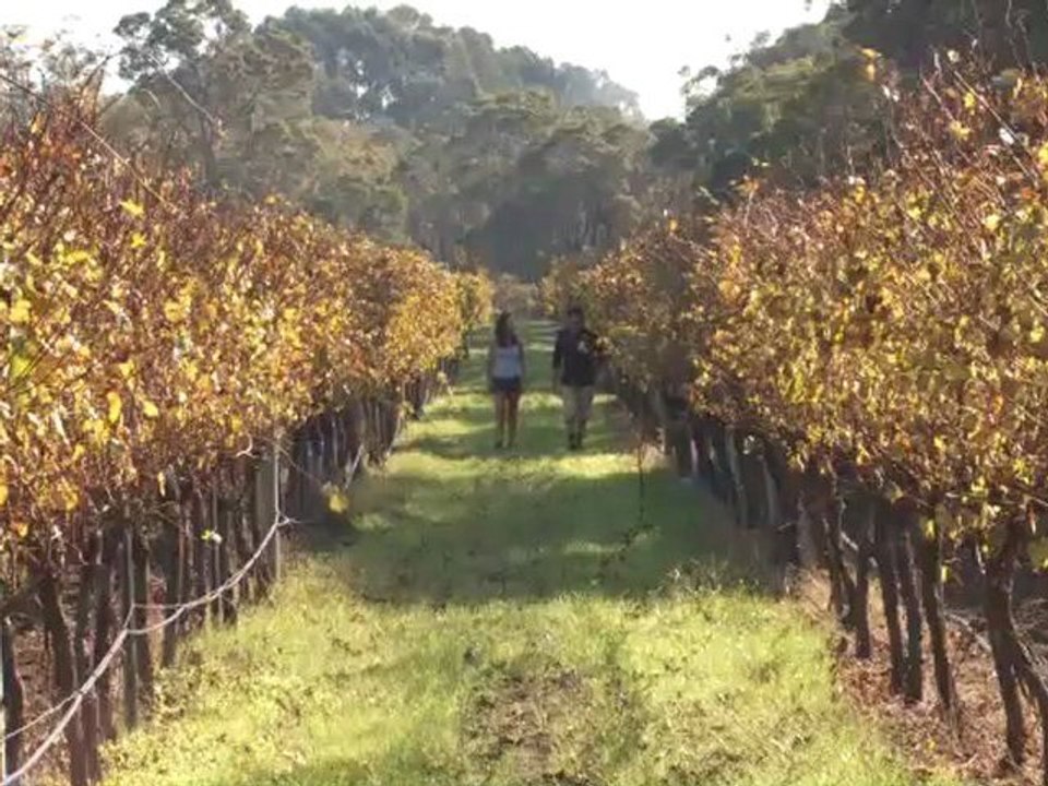 Wine Touring in Margaret River, Western Australia