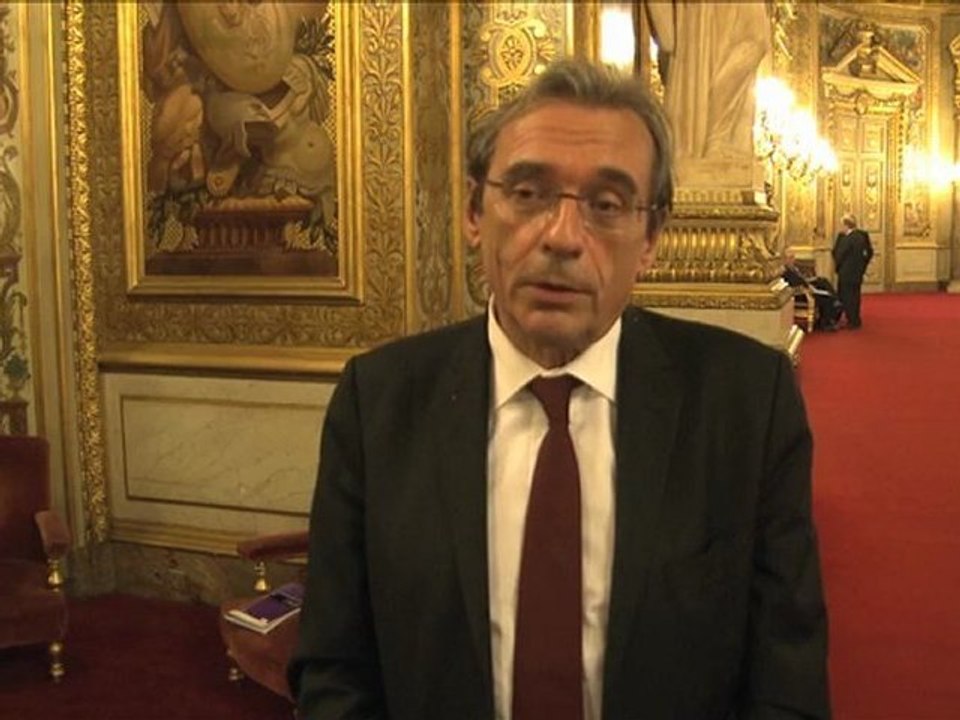 Création d'un Conseil d'Alsace : les réactions de sénateurs alsaciens