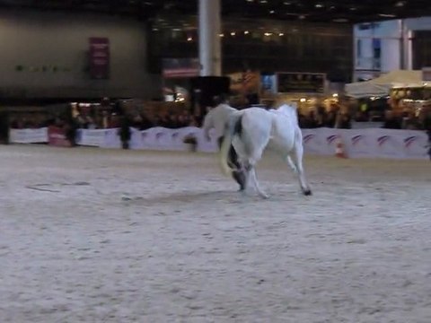 démonstration de liberté , le haras de la cense !!!!