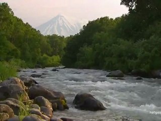 MONSTER FISH - Russian Giants