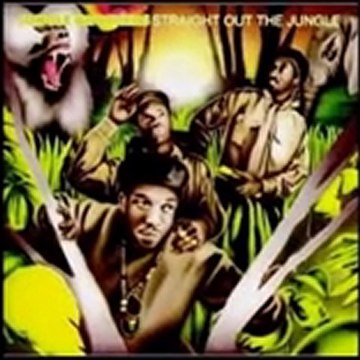 Irmãos Selvagens - Chutando o Balde - JamilSR