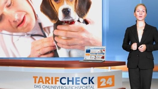 Beste Hundekrankenversicherung Test 2021 3 Testsieger