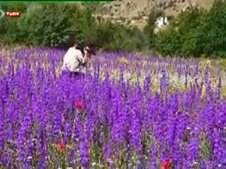 KEŞİF VE MACERA bölüm2