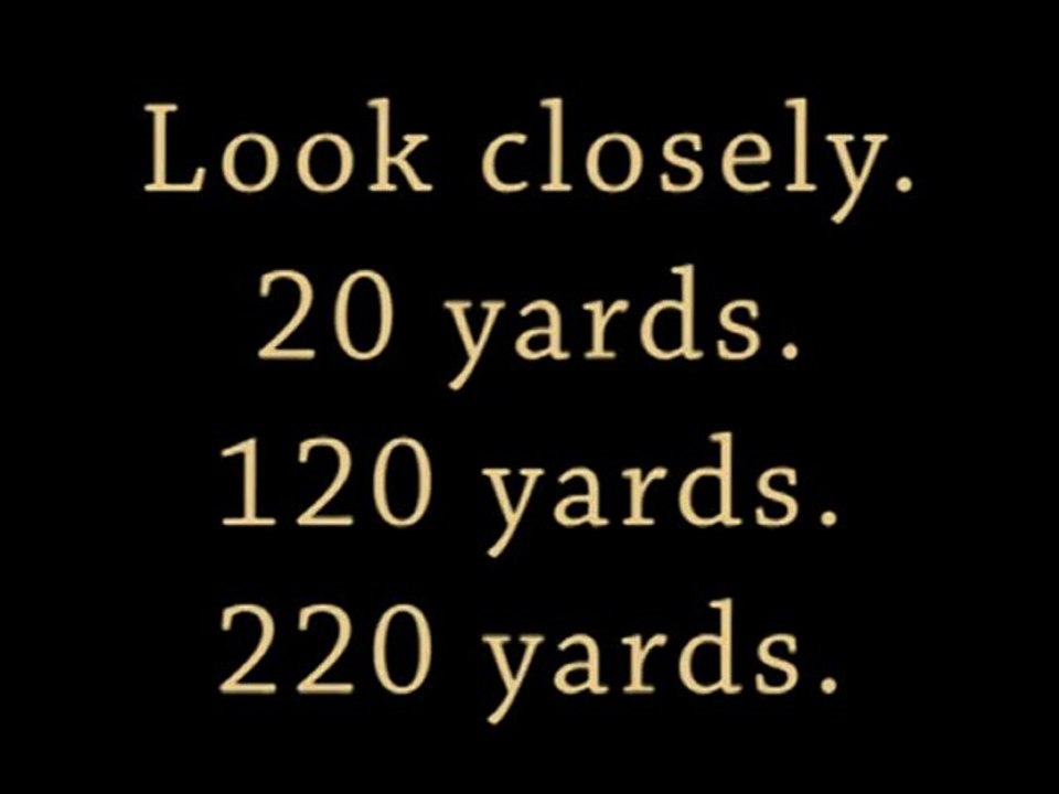 How to Get Rid of Geese! Goose Control Products