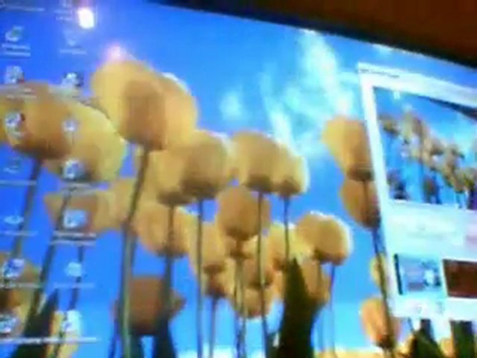 Erreur de GTA IV