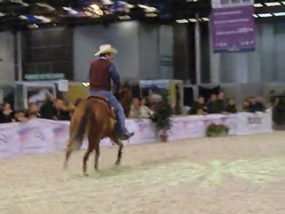 démonstration d'équitation western !!!