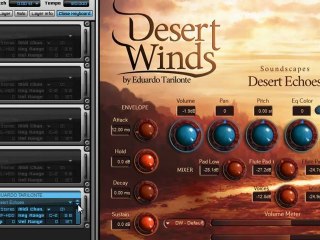 Best Service Desert Winds library review