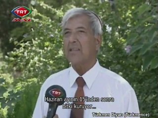 turkmen diyarı-23-03-2011