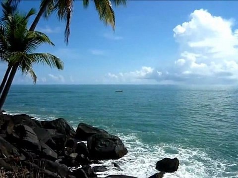 (II) Venezuela, Guyana, Suriname, French Guyana II