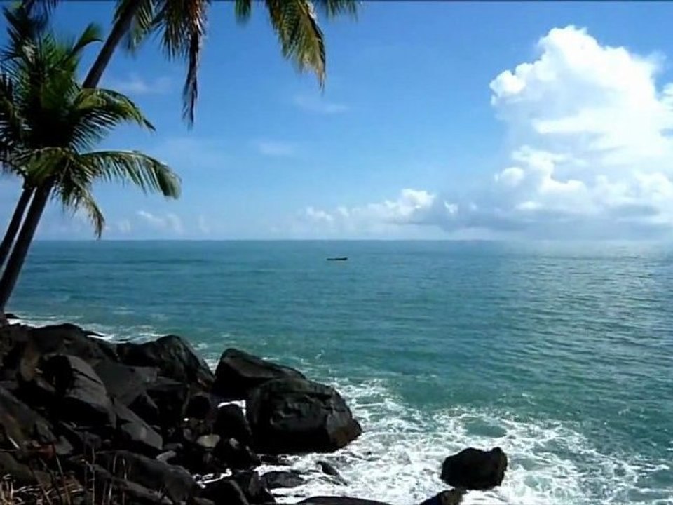 (II) Venezuela,  Guyana,  Suriname,  French Guyana II