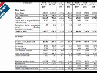 Dominos Pizza Balance Sheet