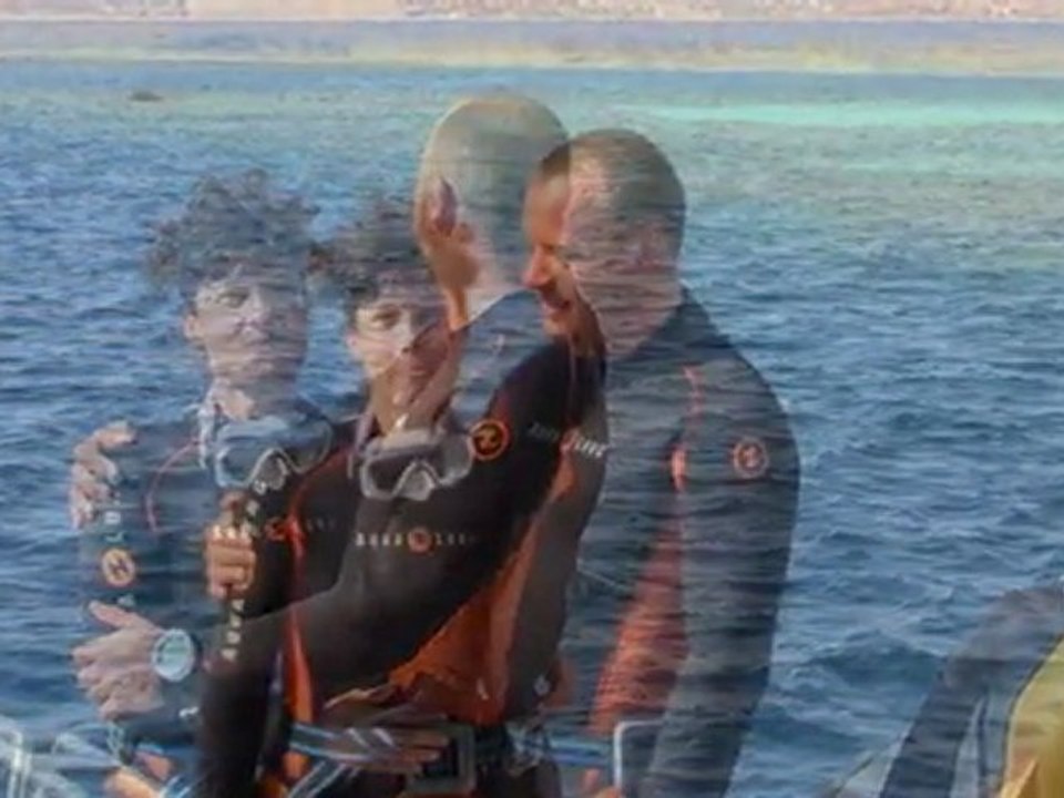 EGYPTE UNE SEMAINE DE PLONGEE SUR LE NAUTILE