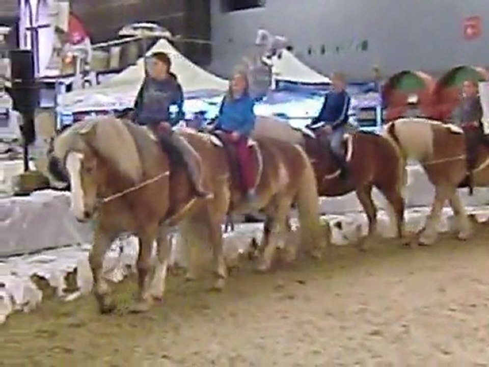 initiation à la voltige des enfants !!!!