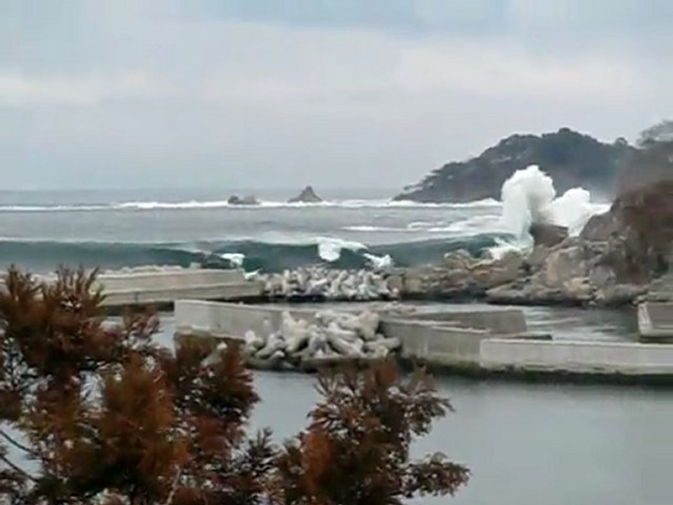 すべてを飲み込む津波１　（2011_3_11　岩手県　野田村　下安家地区）