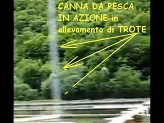 Ufo . CSF Rieti.
