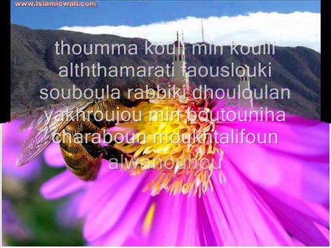 Sourat 16 An Nahl (Les abeilles) versets 68-69 de protection