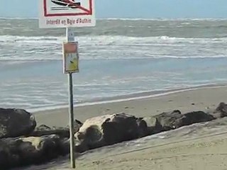 les sternes de berck en plein vent