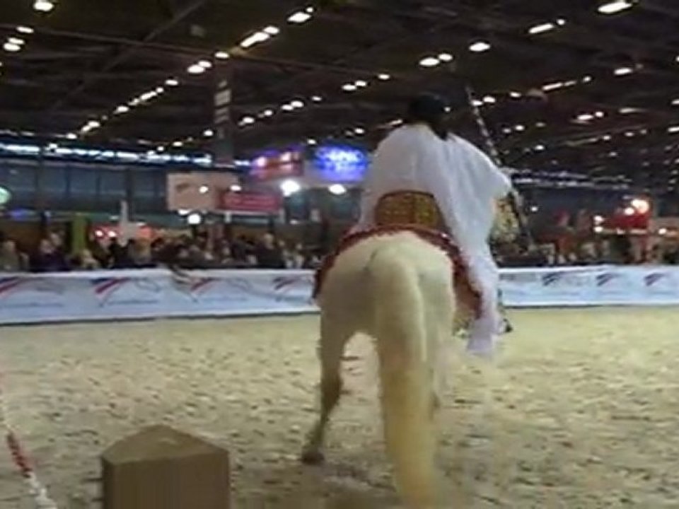 Démo Cheval Barbe Siegfried des Balmes - Salon Paris 2011