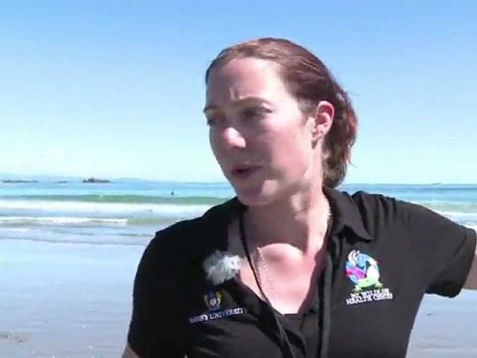 Nouvelle-Zélande: des pingouins retournent à la mer