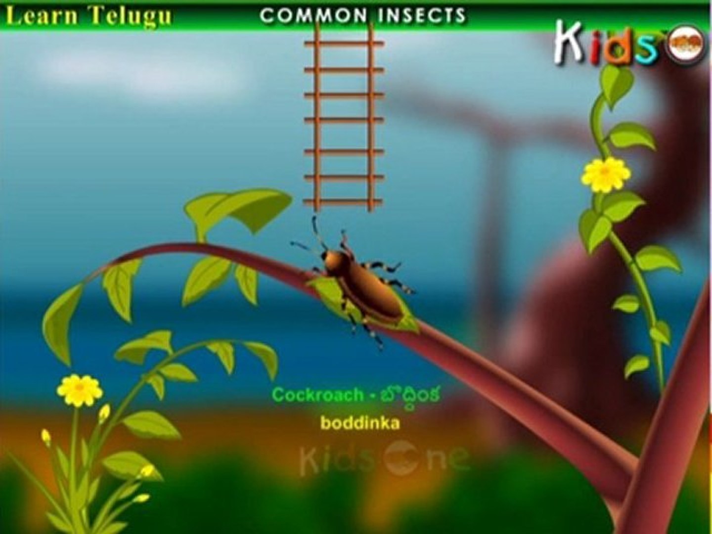 Learn Telugu - Learn Common Insects Names - E-Learning Videos for Kids -  video Dailymotion