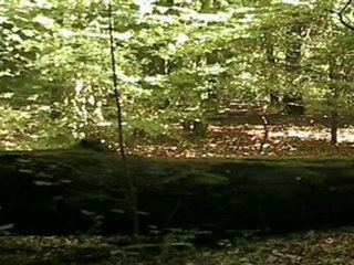 Stargate - The Euderion Chronicles FINAL