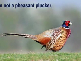 Im not a Pheasant Plucker - Tongue Twister