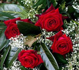 sürgün sevdam (halil.a...ç)