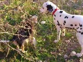 Grace avec ses Amis au Canal de Saint Julien
