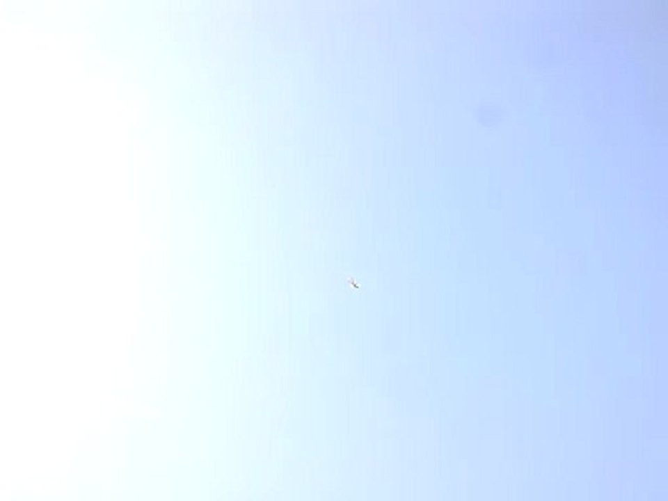 oyun kuşu