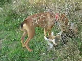 Grace avec ses Amis au Canal de Saint Julien