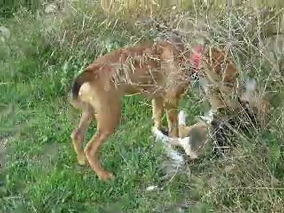 Grace avec ses Amis au Canal de Saint Julien