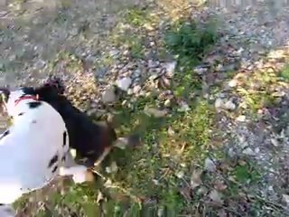 Grace avec ses Amis au Canal de Saint Julien