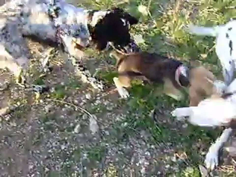 Grace avec ses Amis au Canal de Saint Julien