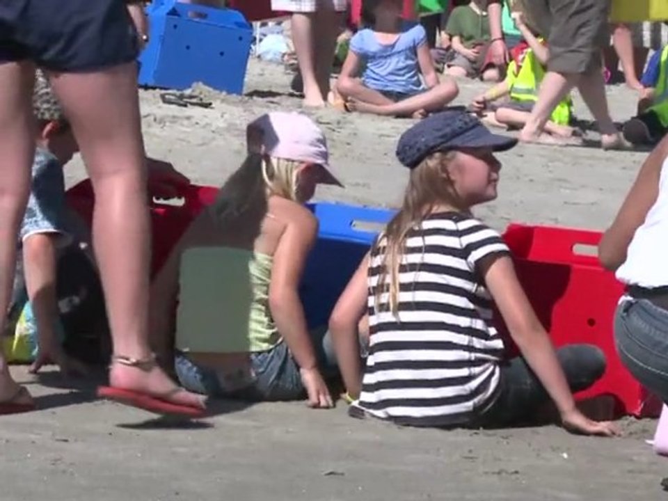 Putzmuntere Pinguine nach Ölpest zurück im Meer